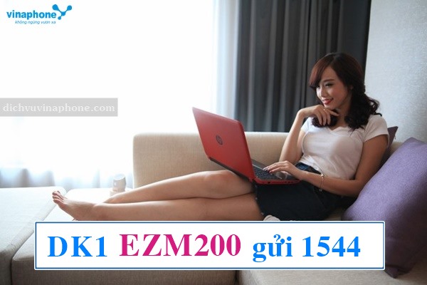 Đăng ký gói EZMAX200 mạng Vinaphone