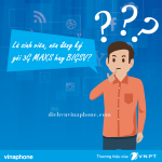 Sinh viên nên chọn đăng ký gói MAXS hay BIGSV của Vinaphone?