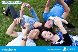Cách tra cứu điểm tích lũy cho hội viên Vinaphone Plus