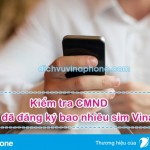 Cách kiểm tra CMND của mình đã đăng ký bao nhiêu sim Vinaphone