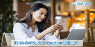 tai-khoan-dk1-dk2-cua-sim-vinaphone