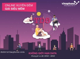 Hướng dẫn đăng ký gói TD5 Vinaphone truy cập mạng không giới hạn