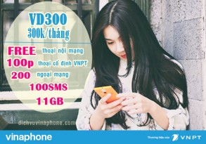 gói cước VD300 của Vinaphone.