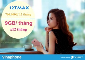 dang-ky-goi-12tmax-vinaphone