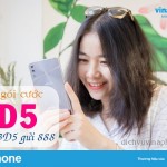 Hướng dẫn hủy gói 3D5 của Vinaphone