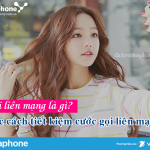 Gọi liên mạng VinaPhone là gì?