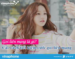 Gọi liên mạng VinaPhone là gì?