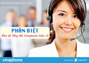 Phân biệt các đầu số tổng đài Vinaphone hiện có