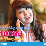 Cach-goi-tha-ga-voi-gia-1000d-tu-Vinaphone