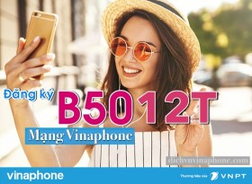 Dang-ky-goi-B5012T-Vinaphone