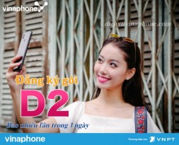 So-lan-dang-ki-goi-D2-Vinaphone-trong-1-ngay