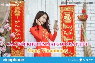 Cac-goi-khuyen-mai-goi-noi-mang-tet-Vinaphone