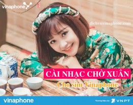 Cai-nhac-cho-xuan-cho-sim-Vinaphone