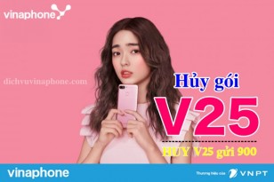 Huy-goi-v25-vinaphone