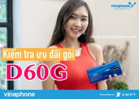 Huong-dan-kiem-tra-uu-dai-D60G-Vinaphone