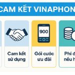sim-cam-ket-vinaphone-2
