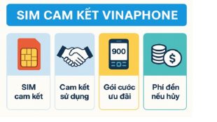 sim-cam-ket-vinaphone-2