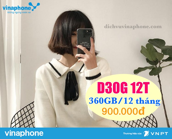 Dang-ky-goi-D30G-12-thang-mang-Vinaphone