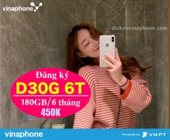 Dang-ky-goi-D30G-chu-ky-6-thang-Vinaphone