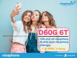 Dang-ky-goi-D60G-chu-ky-6-thang-Vinaphone