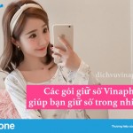 Cac-goi-giu-so-Vinaphone-giu-ban-giu-so-trong-nhieu-nam