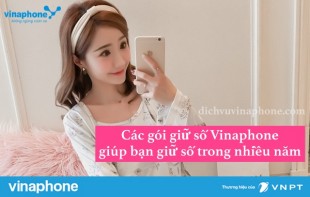 Cac-goi-giu-so-Vinaphone-giu-ban-giu-so-trong-nhieu-nam