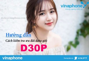 Cach-kiem-tra-uu-dai-goi-D30P-Vinaphone