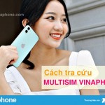 Cach-tra-cuu-Multisim-Vinaphone