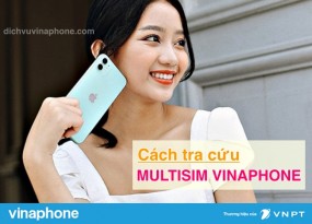 Cach-tra-cuu-Multisim-Vinaphone