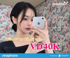 Kiem-tra-uu-dai-goi-VD40K-Vinaphone