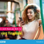 Thông tin và cách tham gia dịch vụ thẻ cào vàng VinaPhone