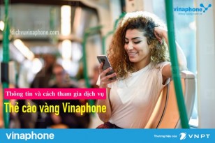 Thong-tin-cach-tham-gia-dich-vu-the-cao-vang-Vinaphone