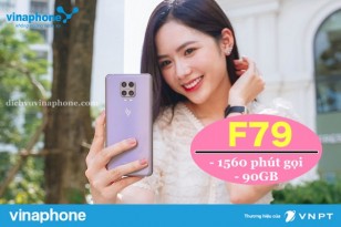 Dang-ky-goi-F79-mang-Vina