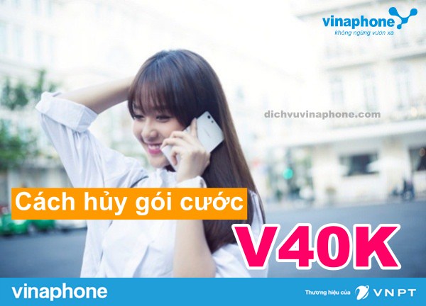 Huong-dan-huy-goi-V40K-vinahone-qua-tong-dai-900