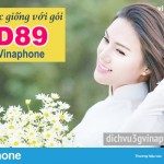Goi-cuoc-giong-voi-goi-VD89-Vinaphone