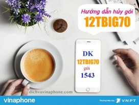 Huong-dan-huy-goi-12TBIG70-Vinaphone-qua-tong-dai-888