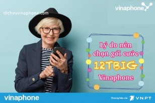 Ly-do-nen-chon-goi-cuoc-12TBIG70-Vinaphone