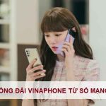 goi-tong-dai-vinaphone-tu-so-mang-khac-1