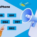 cac-dau-so-vinaphone-hien-nay