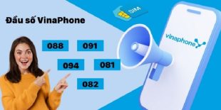 cac-dau-so-vinaphone-hien-nay