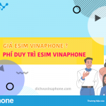 Giá eSim VinaPhone, phí duy trì eSim VinaPhone như thế nào?