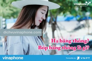 ha-bang-thong-va-bop-bang-thong-la-gi