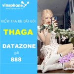 Hướng dẫn kiểm tra data gói Thaga Vinaphone đơn giản nhất