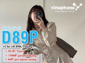 Check list gói D89P VinaPhone 1 tháng đến 12 tháng ưu đãi 4GB/ ngày free thoại