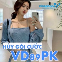 Hướng dẫn hủy gói VD89PK mạng Vinaphone nhanh chóng qua SMSHướng dẫn hủy gói VD89PK mạng Vinaphone nhanh chóng qua SMS