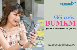 Goi-cuoc-BUMKM-Vinaphone