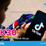 Hướng dẫn đăng ký gói TK30 Vinaphone chơi tiktok thả ga