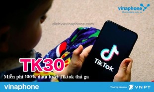 Cach-dang-ky-goi-TK30-Vina