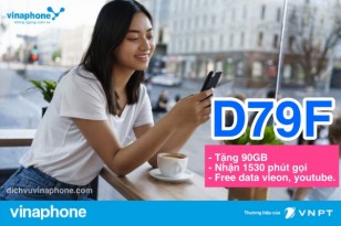 goi-D79F-vinaphone-90GB-1530-phut-79K