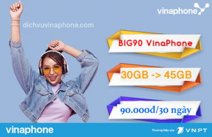 goi-big90-vinaphone